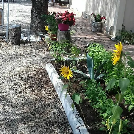 San Antonio